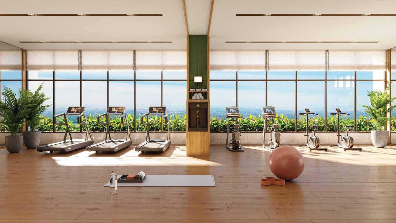 Gymnasium